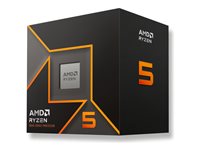 AMD Ryzen 5 9600 SAM5 Box Produktbild