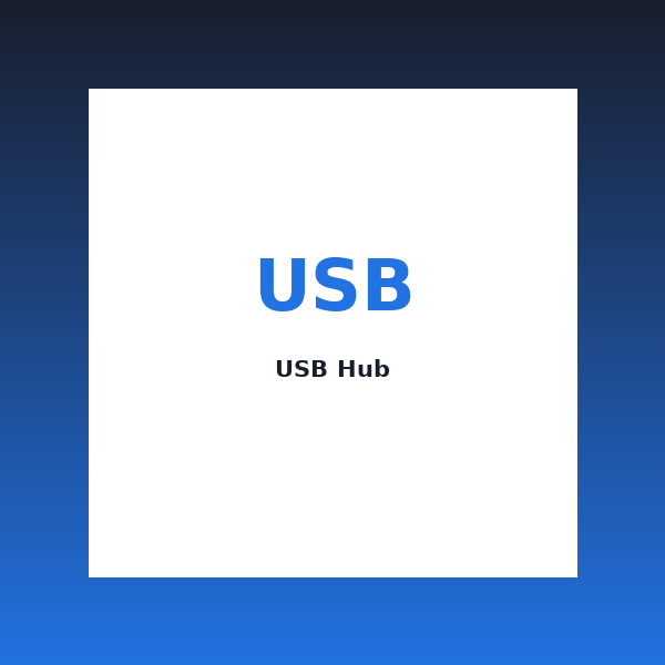 USB Hub
