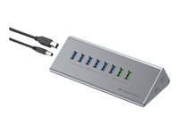 CONCEPTRONIC 100WPD o.N.0.37m Produktbild