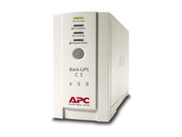 APC Back-UPS CS 650 - USV - Wechselstrom 230 V - 400 Watt - 650 VA - RS-232, USB - Ausgangsanschlüsse: 4 - beige Produktbild 3